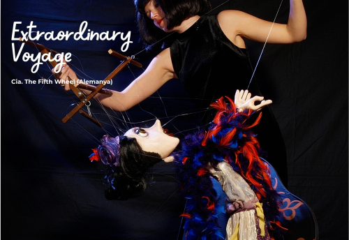 EXTRAORDINARY VOYAGE